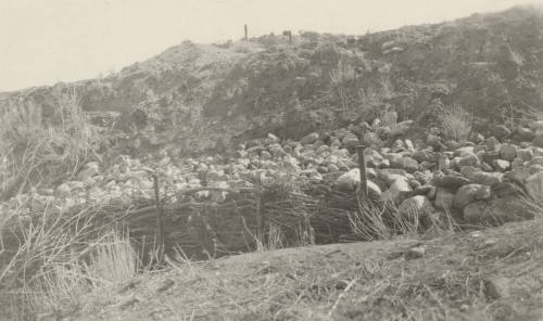 Photo- the bank of Power Canal between 9 mile post and flume