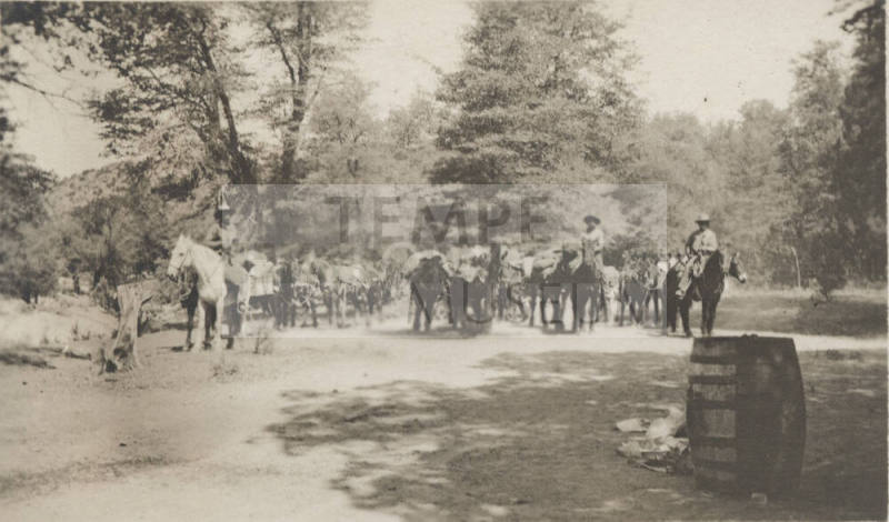 Postcard photo- pack train at Pinal Ranch Camp, on route to Oak Flat Camp