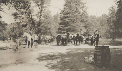 Postcard photo- pack train at Pinal Ranch Camp, on route to Oak Flat Camp