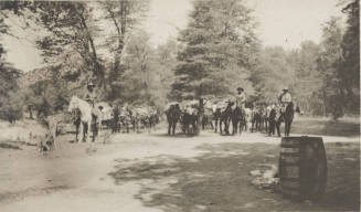 Postcard photo- pack train at Pinal Ranch Camp, on route to Oak Flat Camp