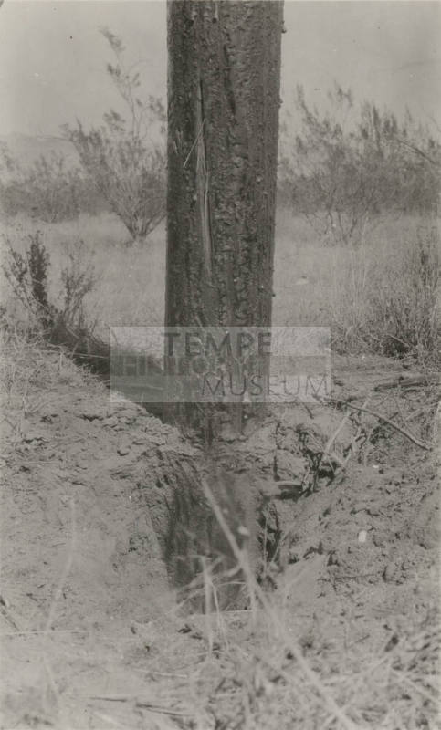 Photo- close up view of creosoted fir pole