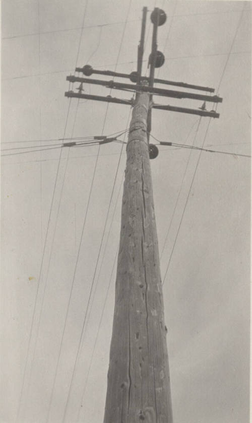 Photo- power pole with crossbars and power lines