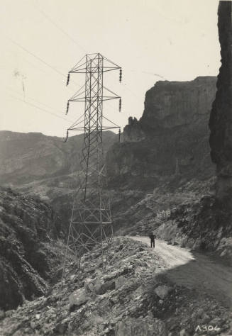 Photo- Horse Mesa tower with power lines
