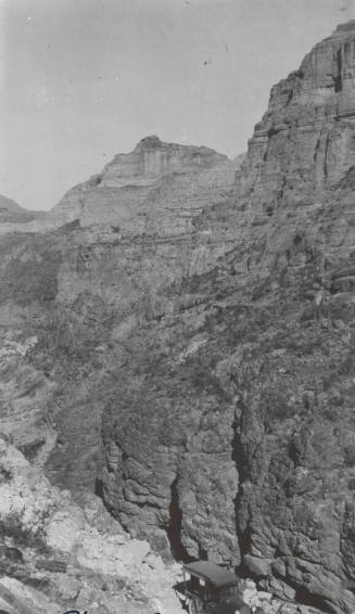 Photo- Horse Mesa road