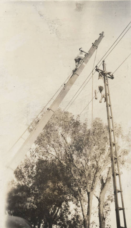 Photo- View of Phoenix Fire Department removing suicide victim from power line