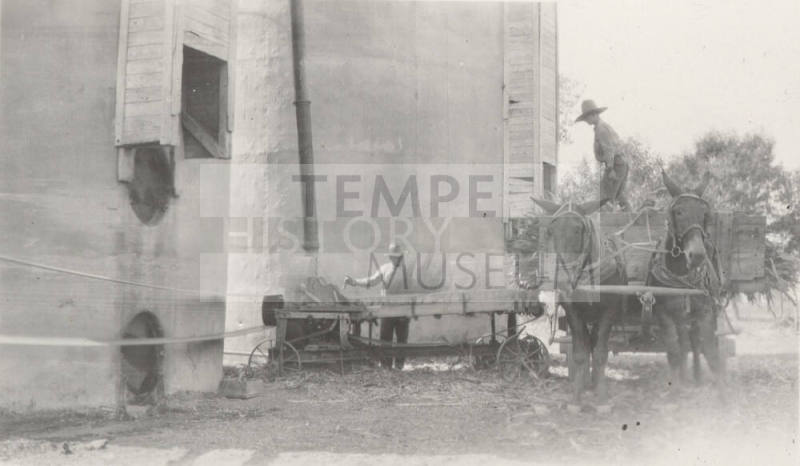 Photo-View of two men chopping corn and blowing corn into silo