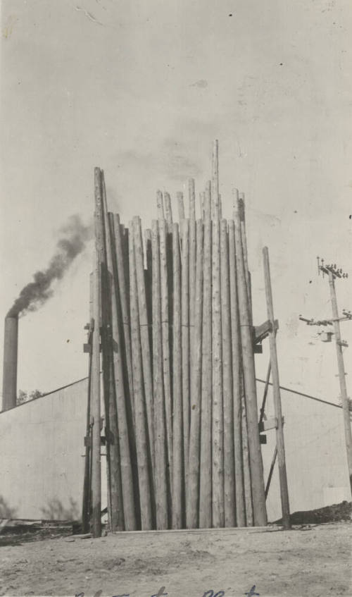 Photo- View of wooden poles being treated at a pole treating plant