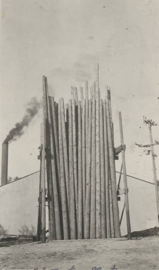 Photo- View of wooden poles being treated at a pole treating plant