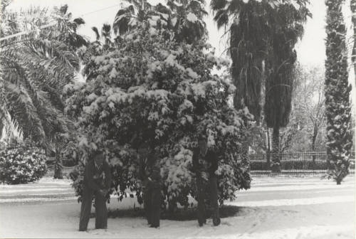 Arizona State University north campus on cold morning with snow covering ground