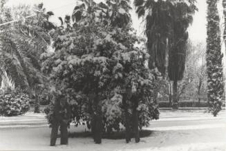 Arizona State University north campus on cold morning with snow covering ground