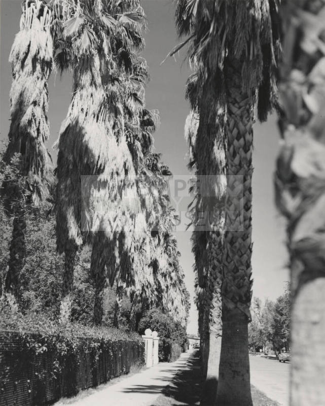 Normal Avenue as it appeared in 1949