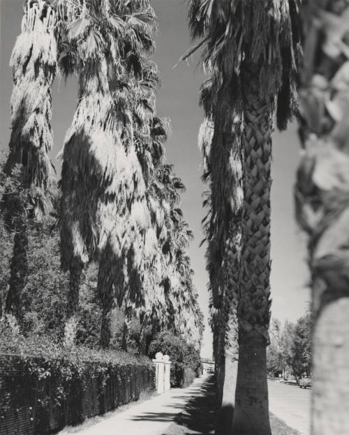 Normal Avenue as it appeared in 1949