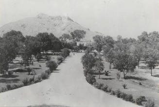View north toward "A" Mountain at Arizona State University