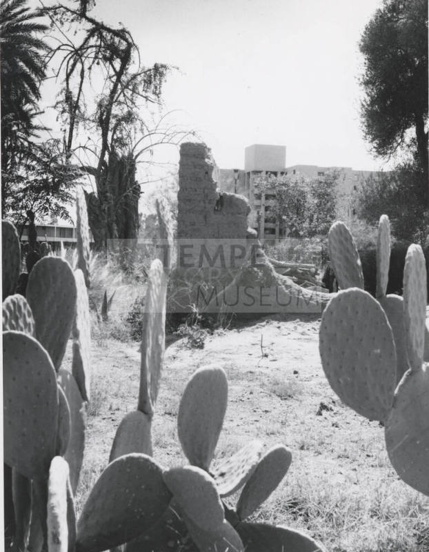 The old and the new at Arizona State University