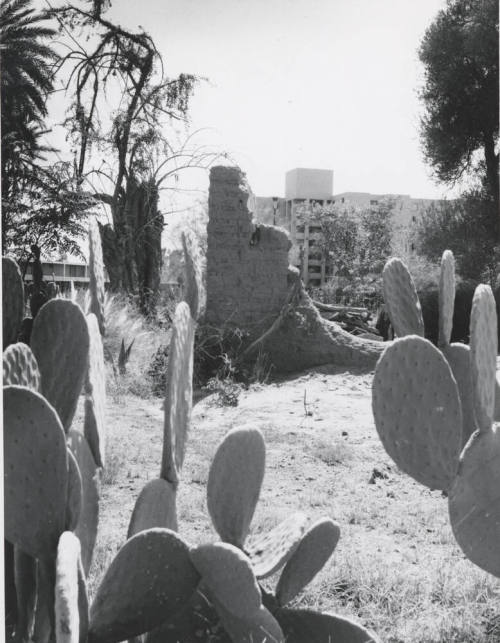 The old and the new at Arizona State University