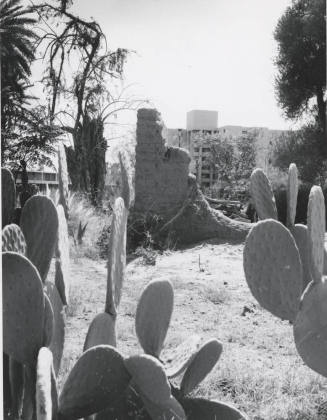 The old and the new at Arizona State University