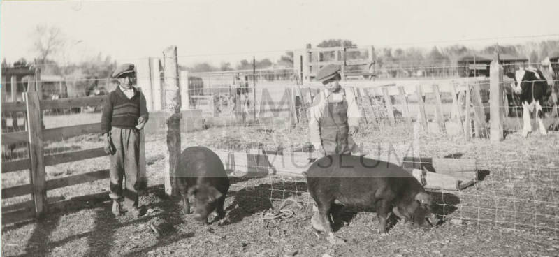 Elementary School pupils at the College Farm