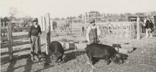 Elementary School pupils at the College Farm