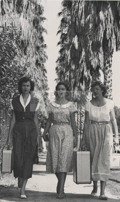 Coeds Arrive on Campus Via Palm Walk in September 1949