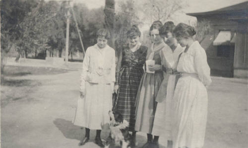 5 Coeds and a Dog