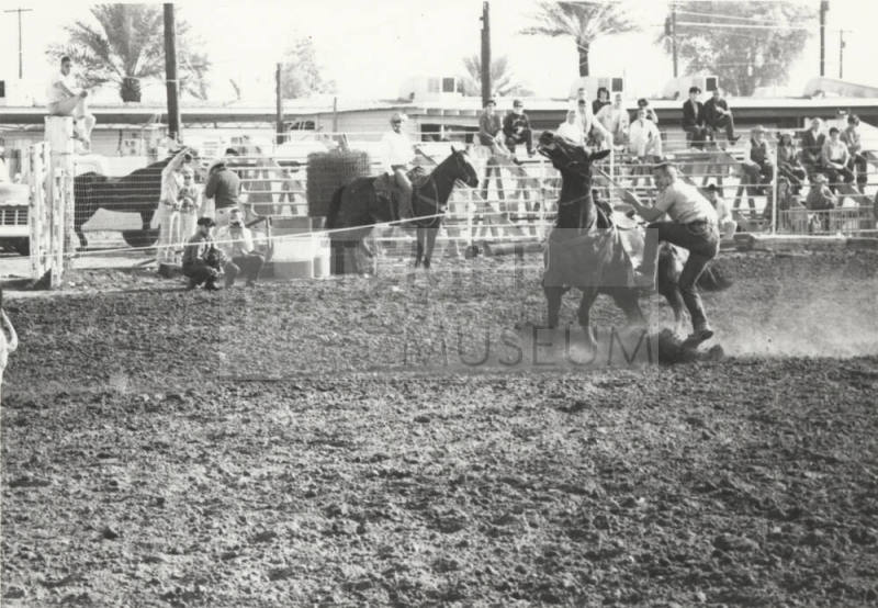 Spectators Watching a Bucking Horse
