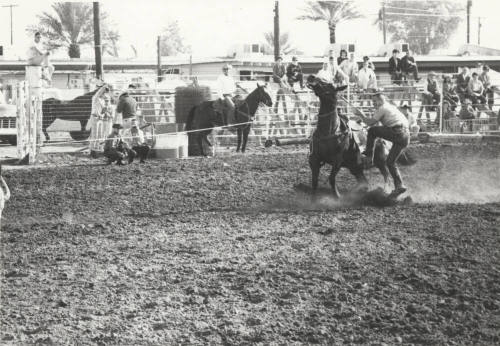 Spectators Watching a Bucking Horse