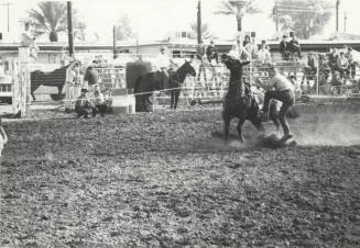 Spectators Watching a Bucking Horse