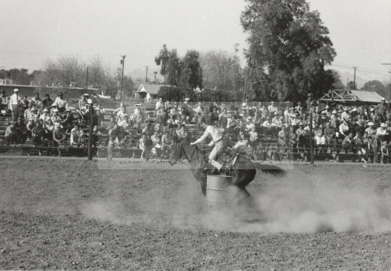 Barrel Racing at a Rodeo