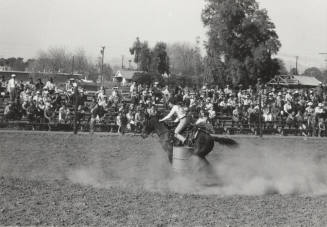 Barrel Racing at a Rodeo