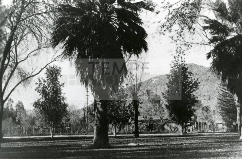 Landscape View of "T"