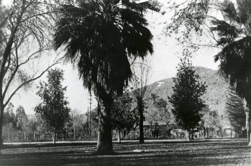 Landscape View of "T"