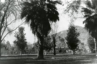 Landscape View of "T"