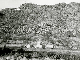 Sheep Grazing on "A" Mountain