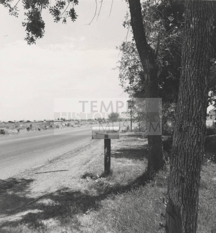 Photo of Road in Tempe with a Speed Limit Sign, Mailbox and Trees