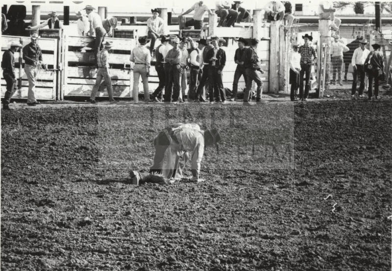 Rodeo Scene