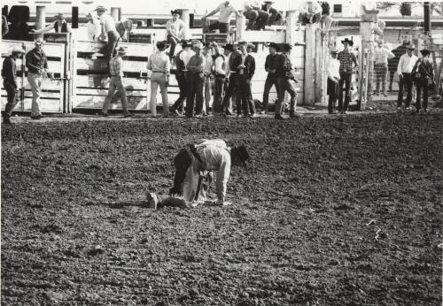 Rodeo Scene