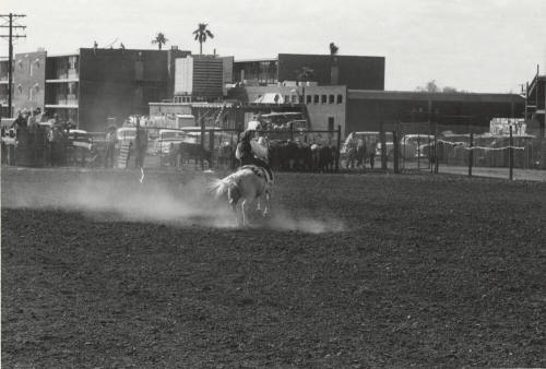 Campus Rodeo Event