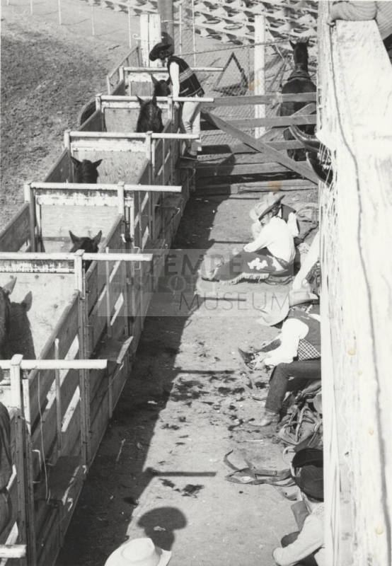Rodeo Contestants Awaiting their Turn to Ride