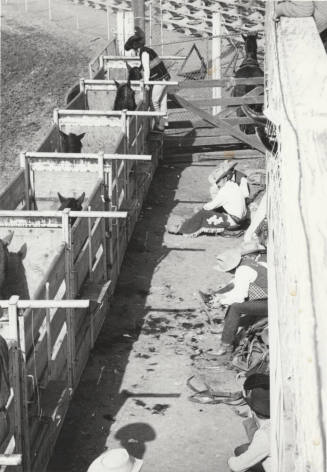 Rodeo Contestants Awaiting their Turn to Ride