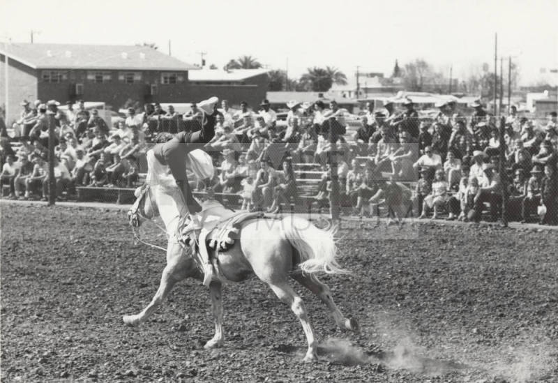 Trick Horseback Rider at Arizona State University Rodeo