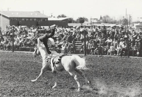Trick Horseback Rider at Arizona State University Rodeo
