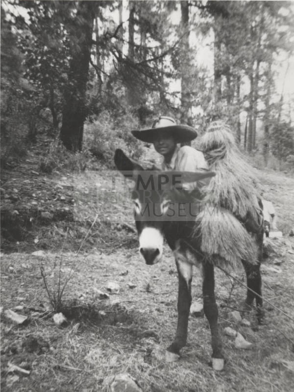Child on Burro on Hillside