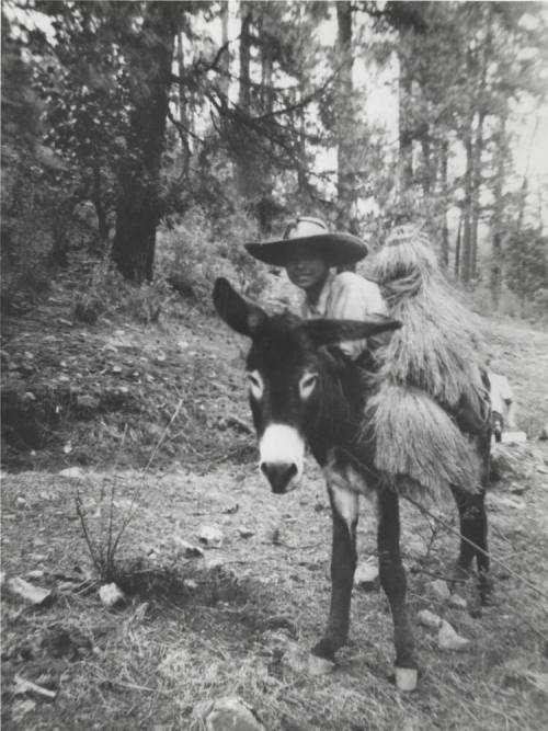 Child on Burro on Hillside