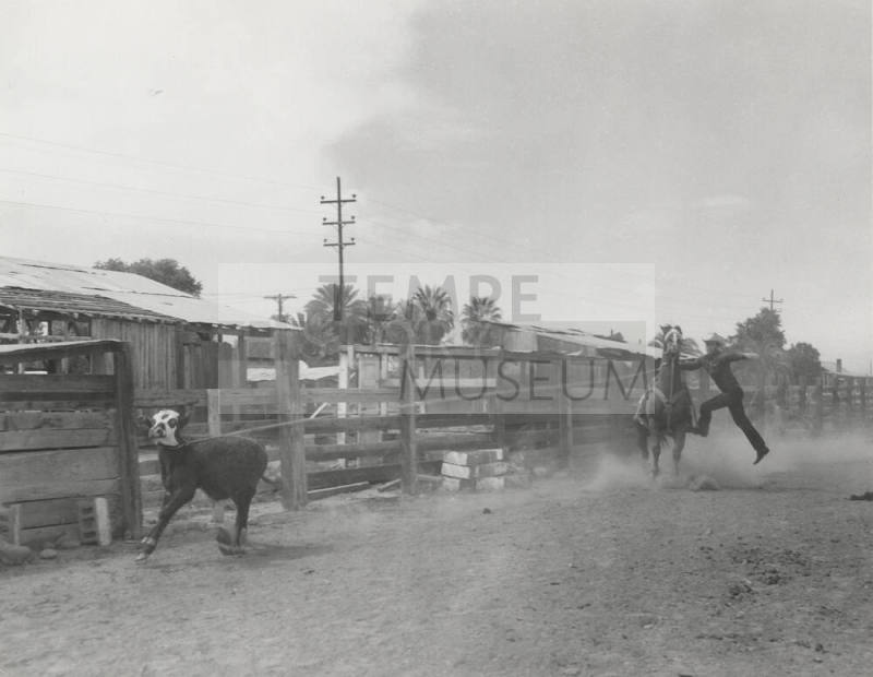 Calf Roping Event