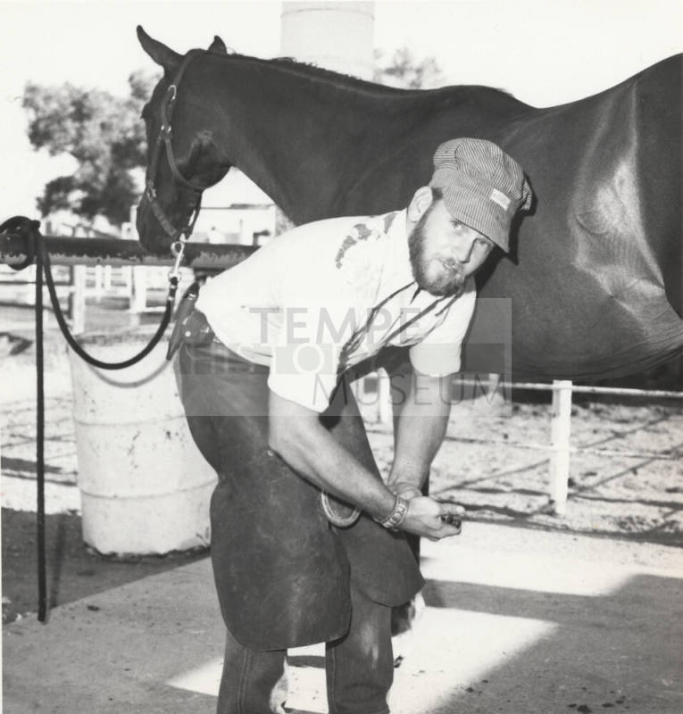 Farrier Shoeing a Horse