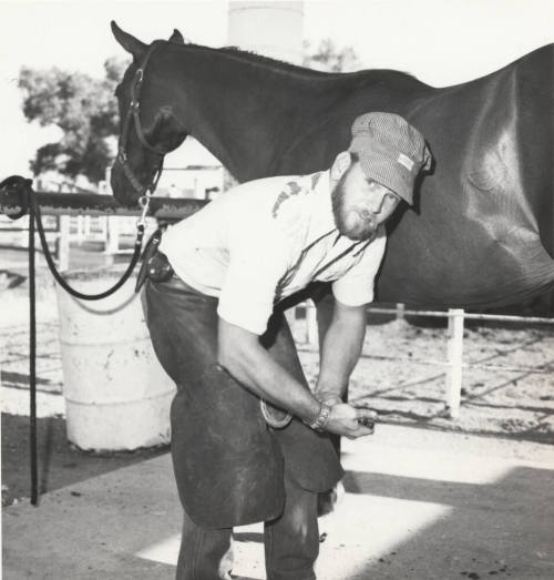 Farrier Shoeing a Horse