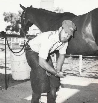 Farrier Shoeing a Horse