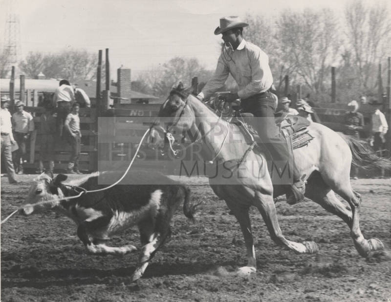 Cowboy Roping a Calf at the Rodeo
